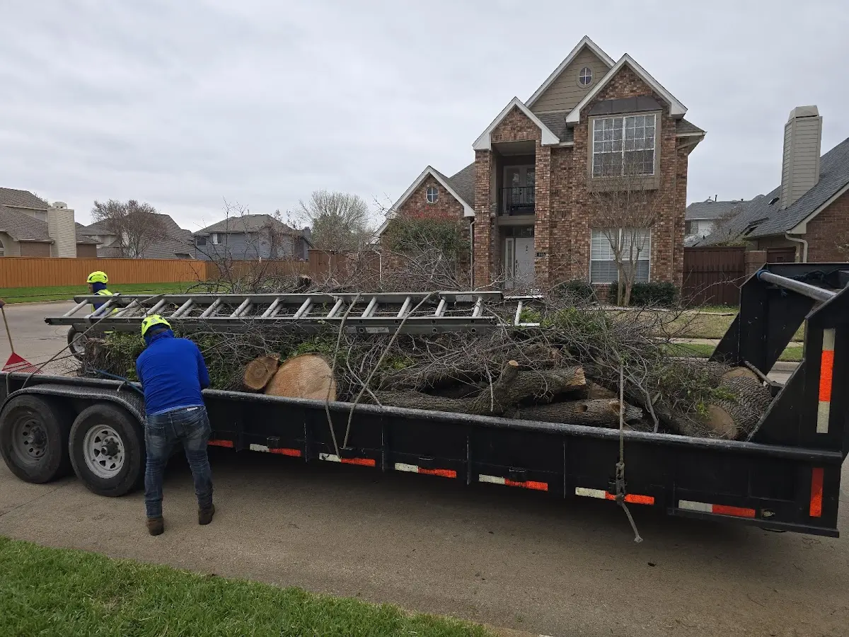 Expert Tree Removal with proper safety equipment in Nellis Afb
